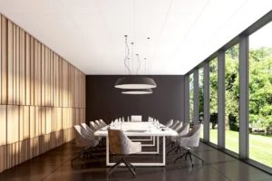 rs adagio acoustic plus