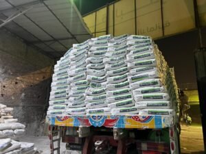 whatsapp image 2025 08 24 at 20.28.50