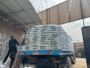 whatsapp image 2025 08 24 at 20.28.51